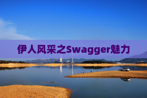 伊人风采之Swagger魅力