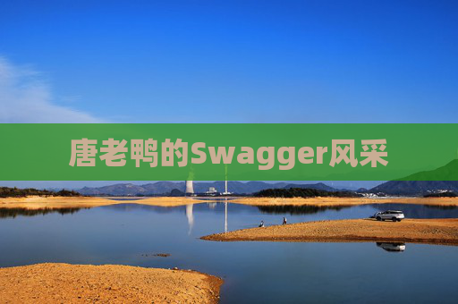唐老鸭的Swagger风采
